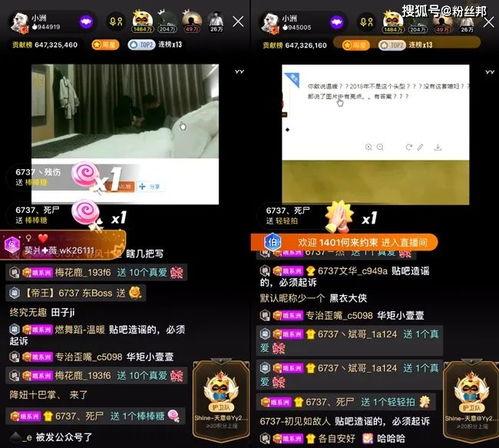 快乐金宝爆料视频大全最新,视频大全精彩瞬间大汇总