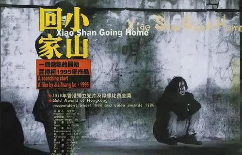 小山回家在线观看,一场跨越时空的温馨归途