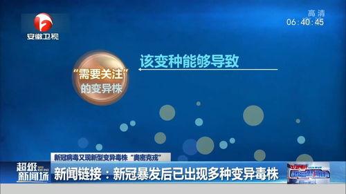 新冠病毒新闻爆料,疫情动态与防控措施全解析
