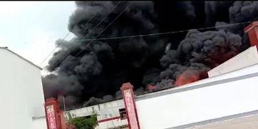 新密市爆料新闻,揭秘背后真相,市民热议! 第2张 新密市爆料新闻,揭秘背后真相,市民热议! 第2张
