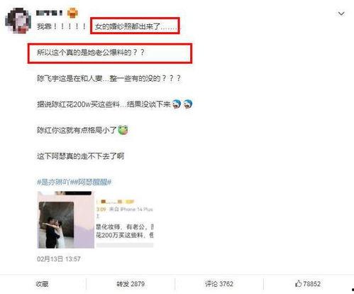 陈飞宇老公爆料视频大全,揭秘娱乐圈背后的真相  第3张