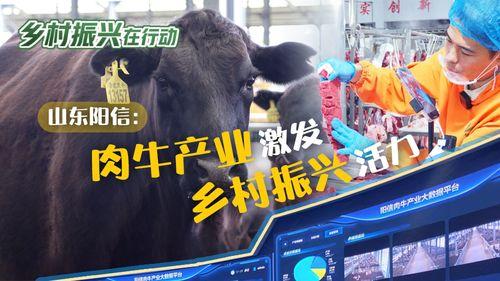 阳信牛肉爆料视频大全,视频大全带你领略地道风味