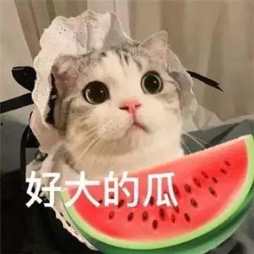 网红吃瓜中转站,揭秘娱乐圈幕后风云  第2张
