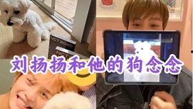 艺犬堂员工爆料视频大全,揭秘幕后真相与内幕视频大盘点  第2张