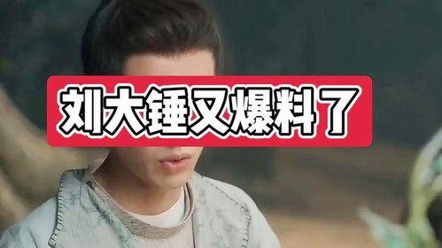 刘大锤最新爆料烽火流金,刘大锤揭秘传奇背后的故事  第3张