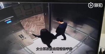 官方主动爆料实锤视频大全,揭秘真相背后的震撼瞬间  第3张