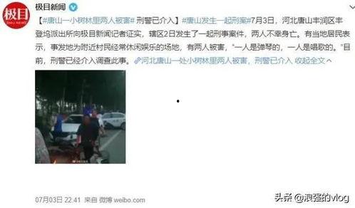 唐山小六爆料事件视频,真相与争议的交织  第2张