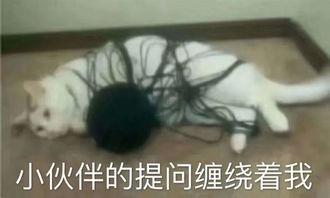 呆娃崩溃爆料视频下载,揭秘背后惊人真相  第2张