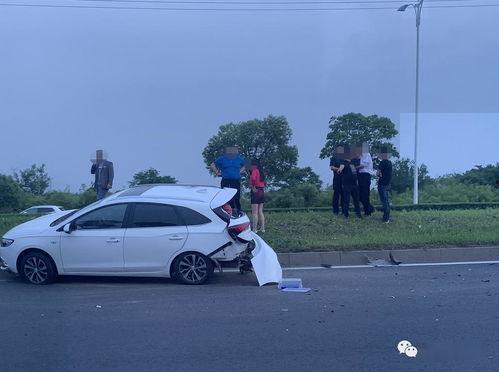 新汽油车爆料视频大全集,爆料视频大全集深度解析