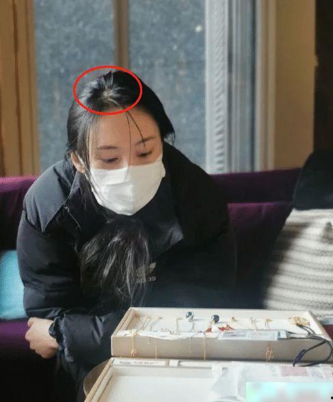 郑爽妈妈爆料视频,揭秘明星家庭背后的真相