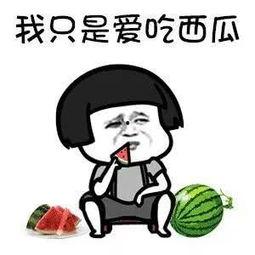 娱乐吃瓜酱内向,内向者的快乐生活指南  第2张