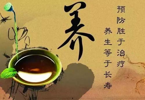 娱乐吃瓜酱中医养生小说,中医养生小说中的趣味人生  第2张