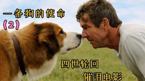 一条狗的使命2高清在线观看,狗狗使命续篇高清在线观影指南  第3张