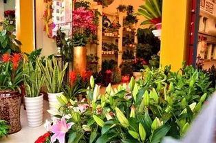 最新吃瓜爆料花店事件,揭秘最新吃瓜爆料背后的真相  第2张