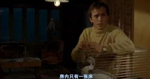 偷窥无罪 2在线观看,隐私界限的挑战与伦理探讨  第3张