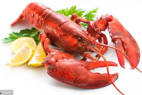 龙虾最新爆料新闻,揭秘幕后真相，行业乱象再引关注