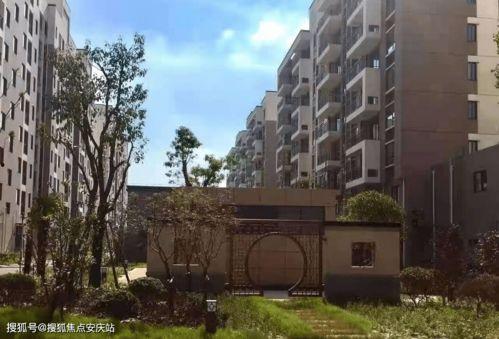 机械猎手最新爆料网页,揭秘未来战争利器  第3张 机械猎手最新爆料网页,揭秘未来战争利器  第3张