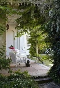 庭院深深在线观看,穿越时空的浪漫邂逅