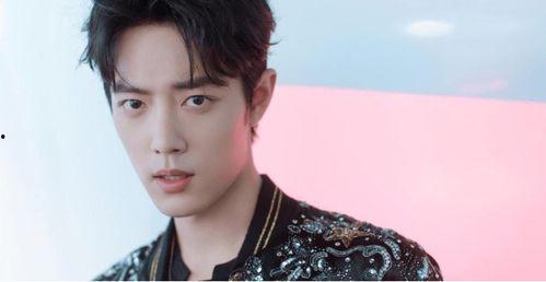 肖战现状爆料视频大全,最新爆料视频大盘点