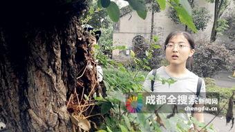 名株在线观看,实时掌握股市动态,轻松投资入门指南  第2张 名株在线观看,实时掌握股市动态,轻松投资入门指南  第2张