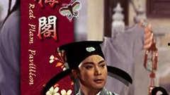 红梅阁在线观看,穿越时空的古典园林传奇  第2张