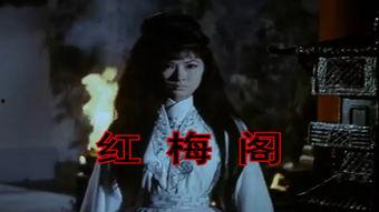 红梅阁在线观看,穿越时空的古典园林传奇  第3张