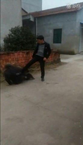 寻乌爆料殴打学生事件视频,殴打学生事件视频曝光，校园暴力引发社会关注  第2张