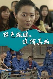 高清绿色在线观看,在线观看新体验