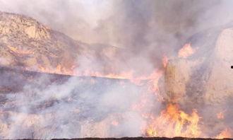 潍坊山火爆料视频,潍坊山火爆料事故惊心动魄瞬间  第3张 潍坊山火爆料视频,潍坊山火爆料事故惊心动魄瞬间  第3张