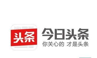 石家庄今日头条职场爆料,行业动态与职场风云