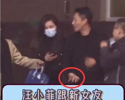 新爆料汪小菲视频大全集,揭秘豪门生活点滴