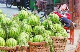 城固吃瓜最新事件爆料  第3张