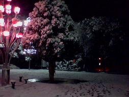 夜色 观看在线观看,在线观看的视觉盛宴