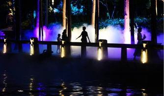 夜色 观看在线观看,在线观看的视觉盛宴  第3张