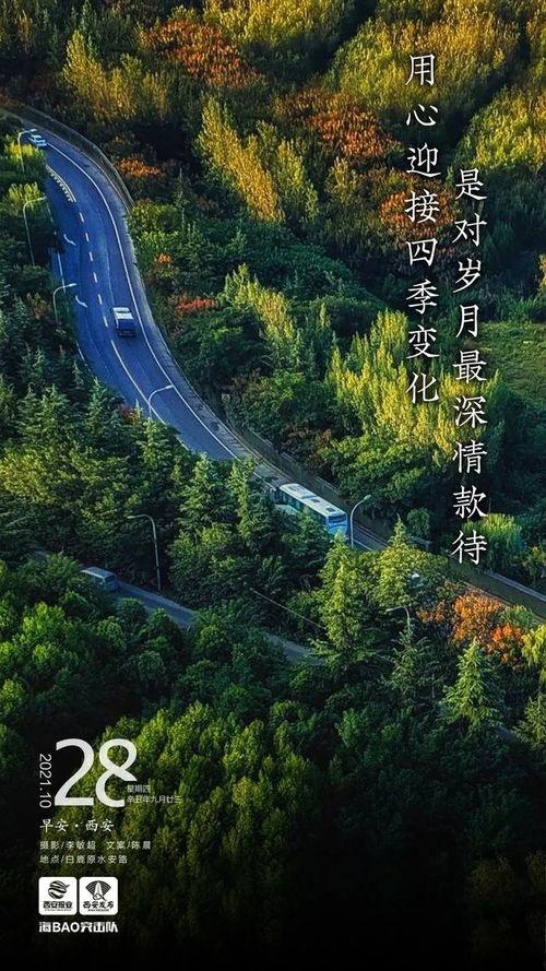 西安早安爆料最新消息,最新动态揭秘，聚焦城市热点事件  第2张