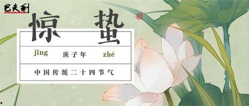 新版惊蛰在线观看,揭秘神秘古墓，探寻千年之谜