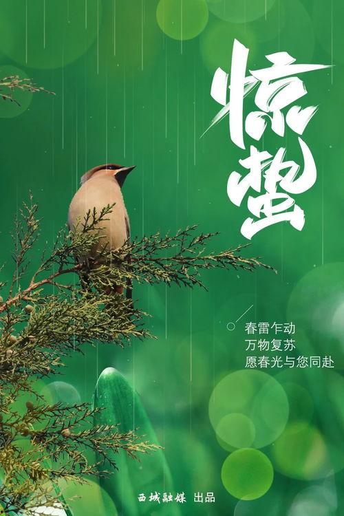 新版惊蛰在线观看,揭秘神秘古墓，探寻千年之谜  第2张