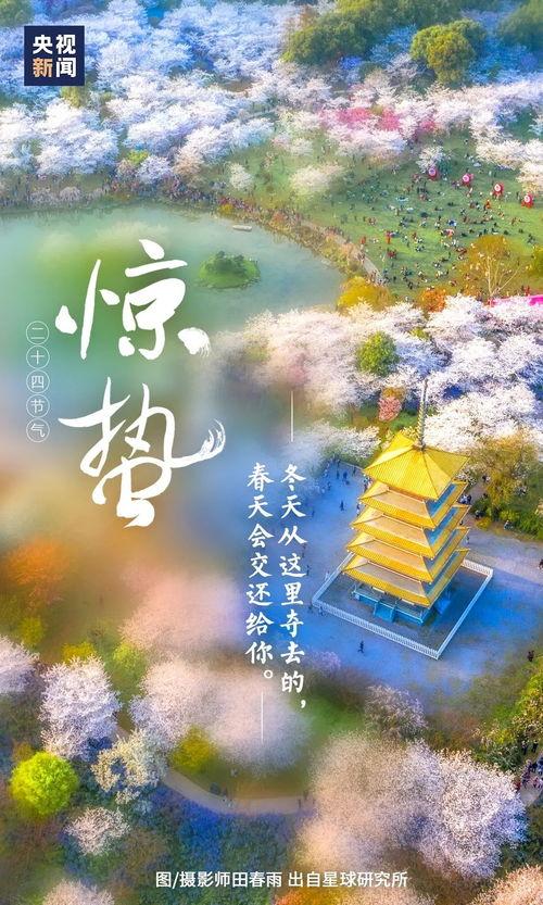 新版惊蛰在线观看,揭秘神秘古墓，探寻千年之谜  第3张