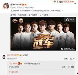 金主爆料兔兔视频,金主爆料背后的真相与内幕  第3张