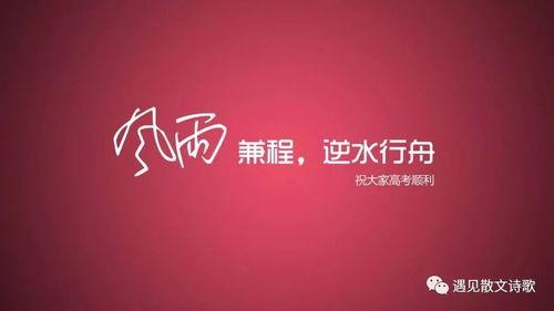 新闻热点爆料感动励志,新闻热点中的感动励志故事  第2张