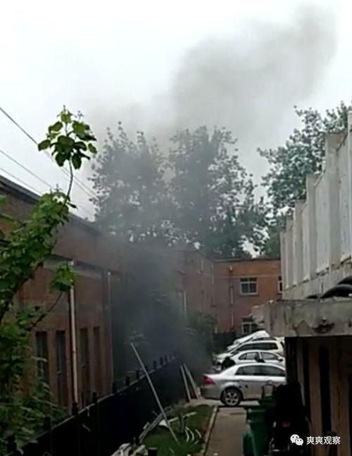 长春花溪谷最新爆料,隐秘仙境惊艳揭秘，生态旅游新地标即将崛起