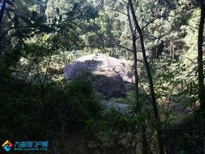 长春花溪谷最新爆料,隐秘仙境惊艳揭秘，生态旅游新地标即将崛起  第2张