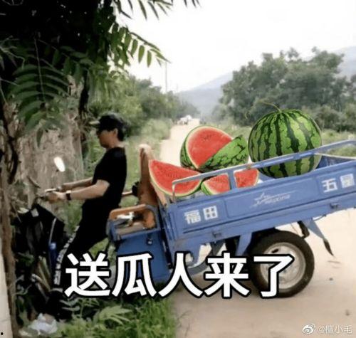 娱乐吃瓜文案啊怎么说的